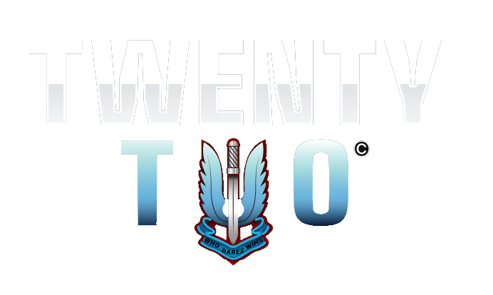 22 logo